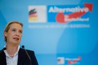 In the service of the Kremlin: who is imposing the “Alternative” on Germany and promoting Russian narratives