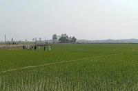 Subsidised fertiliser being smuggled into Myanmar