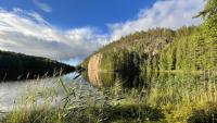 Habitat Quality Accounts For Shifts In Finnish Species More Than The Climate
