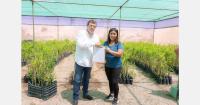 Moquegua in Peru takes up pomegranate cultivation with an eye on the Chinese market