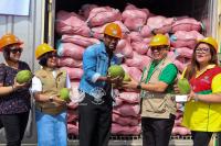 Philippine coconuts bound for Liberia as Manila explores West African market