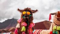 Hot or not? What travellers will be doing and ditching in 2027