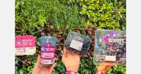 Breast cancer awareness blueberry campaign expands across Europe and South Africa