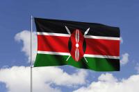 IAEA Mission Finds Kenya Committed to Safe Management of Radioactive Waste as it Develops a Nuclear Power Programme