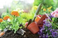 Bowie County Master Gardeners to host 'The Southern Heirloom Garden' program