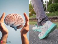 10,000 daily steps not needed: A much lower walking target can help reduce brain disease risk, finds new study