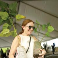 An invitation to plant more than 40,000 trees across Puerto Rico in October