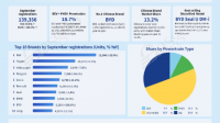 Italy's Passenger Car Market in September: BYD Ranks Ninth, Chinese Brands' Share Doubles
