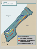 Property rights in the Gaza Strip and International Law