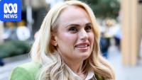 Rebel Wilson wins second court case with company awarded $10