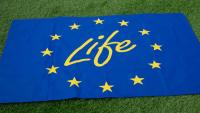 The EU’s LIFE programme is investing more than 390 million euros in climate and environment-related projects