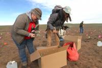 Restoring Wyoming’s largest 2026 fire scar, one sagebrush seedling at a time