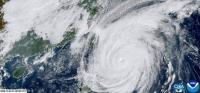 Hundreds of flights cancelled across East Asia as Typhoon Champi shuts Taiwan 