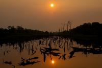 Margins can no longer adapt as world nears 1.5°C overshoot