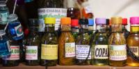 Pan-amazonian platform compiles 232 public policies for bioeconomy