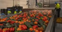 How PepsiCo Suppliers Use Regenerative Agriculture in Spain