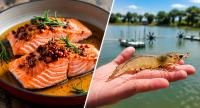 UCN adds global farmed salmon, shrimp production to data platform