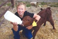 South Dakota 4-H Seeks Statewide Project Committee Members; Applications Due Nov. 1