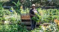 Soil mapping aims to boost agricultural production in Kenya
