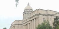 1 question Kentucky’s election ballot could change the commonwealth’s constitution