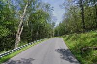 83-Year-Old New Jersey Hunter Found Safe After Getting Lost in Ulster County Woods
