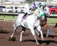 Albuquerque Downs racing season draws to a close with Sunday stakes doubleheader