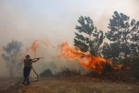 Indonesia wildfires threaten world’s oldest cave art