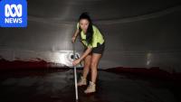Backpackers say visa changes reduce incentive to do jobs many Aussies avoid
