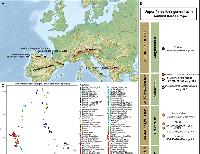 Early Gravettian genomic data from Western Europe reveal population movements before the LGM