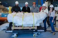 Rare Ostrich-like Dinosaur arrives at the North Carolina Museum of Natural Sciences