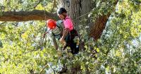 House Springs arborist travels world for tree climbing competitions