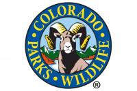 Colorado Parks and Wildlife investigating reported bear attack in Clear Creek County