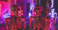 Need a Halloween boo-st? 8 last-minute ways to get spooky in Seattle