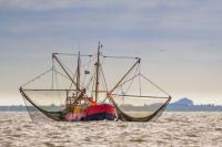 Trump Administration Unveils Seafood Strategy to Boost U.S. Fishing Fleet and Domestic Production
