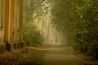 Science Note: Air Pollution and Human Reproduction
