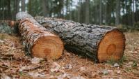 Brazil’s emissions fall 6% in 2025 due to reduced deforestation, lowest level since 2018 according to Climate Observatory