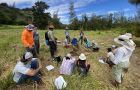 Hawaiʻi Climate Commission launching CASH4ʻĀina workshops to boost soil health, agricultural resilience