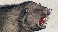 Scientists Just Discovered That Neanderthals Loved Eating Beaver