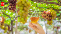 California winery founded in 1981 faces possible liquidation after $12.7 million family feud, with bankruptcy court setting a deadline to find a buyer