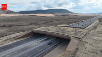 Colorado built a giant green bridge over a busy highway for animals; wildlife-vehicle collisions fell by 91% as they found a safer way across