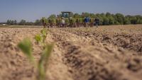 Africa’s indigenous crops and youth are the secret to ending hunger
