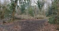 These are the big changes planned at a popular Worcester nature reserve