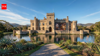 An Australian builder spent years turning a home for his son into a medieval castle with a moat, a dungeon-style games room and water-spouting gargoyles