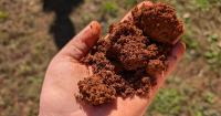 GARDEN GUIDE: Soil sampling: Another dirty job for your garden's health