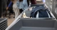 UK's Civil Aviation Authority issues 'vital' new alert as 'incidents highly likely'