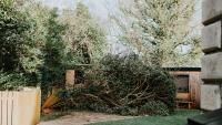 Lawyer explains who is responsible for repairing a fence damaged in a storm