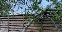 Lawyers clarify who is responsible for repairing a damaged garden fence after storms