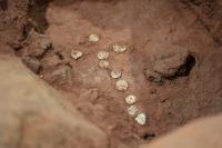 Colonial-Era Coins Uncovered During Restoration Of Historic Paraguayan Temple