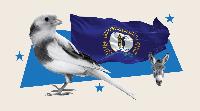 The Kentucky Canary in the Coal Mine for Republicans