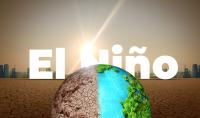 Pacific Ocean hits record 30°C: What a strengthening El Nino means for India